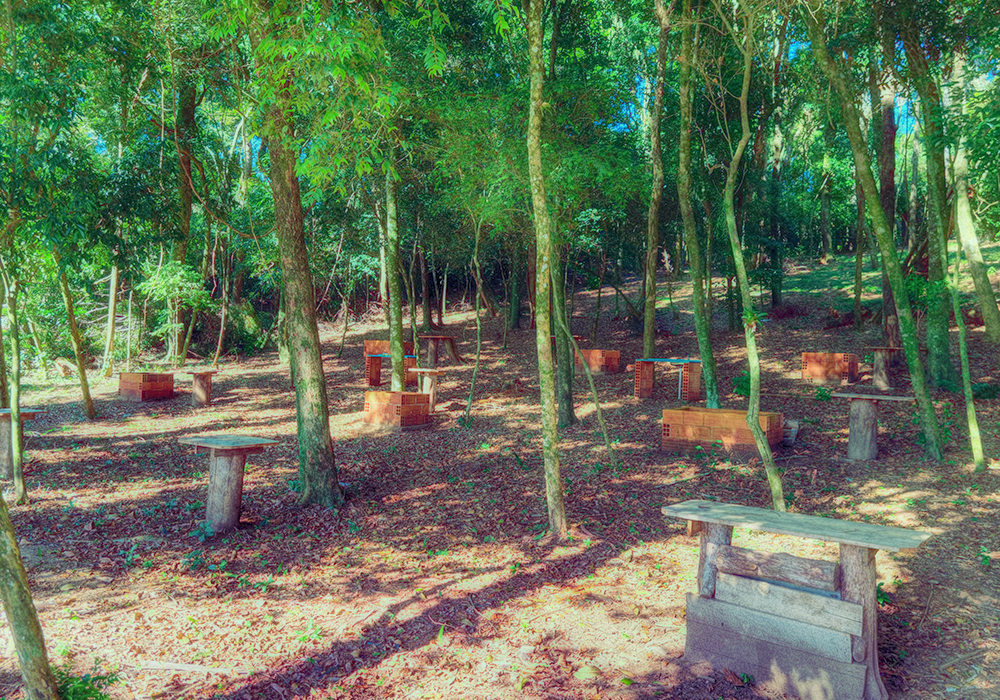 Churrasqueira - Imagem 2