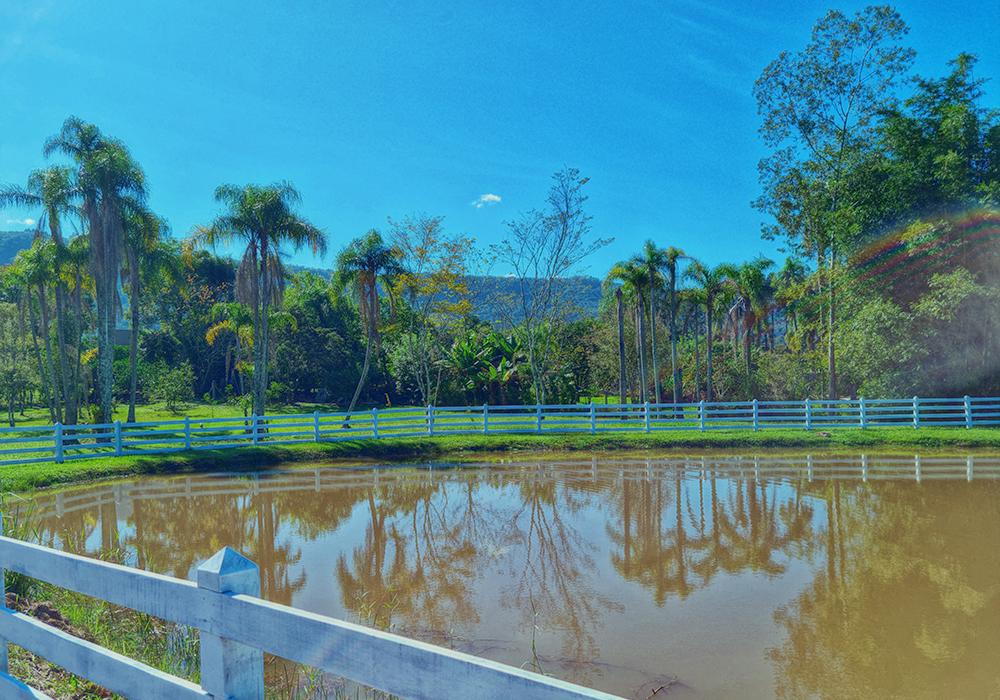 Natureza - Imagem 1